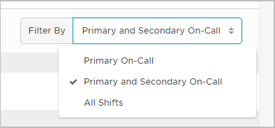 Filtering the schedule by shifts