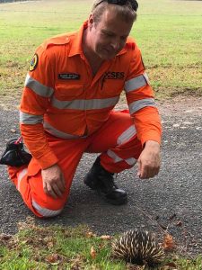 xMatters Principal Solution Consultant Elliot Pittam rescues an echidna from the road in Australia on January 7.